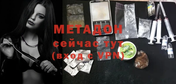прущие грибы Елизово