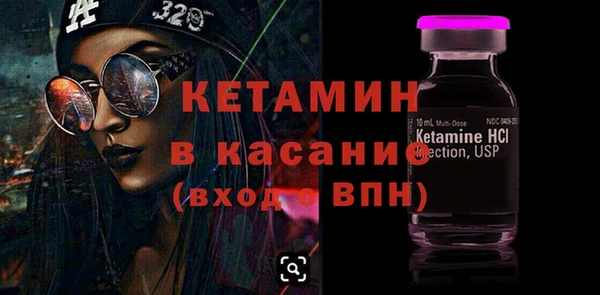 шишки Ельня