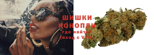 прущие грибы Елизово
