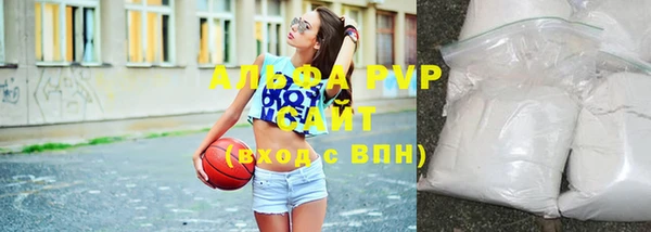 прущие грибы Елизово