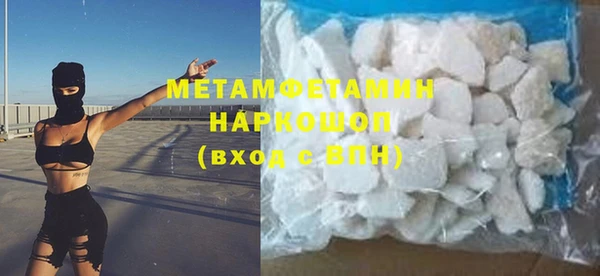 прущие грибы Елизово