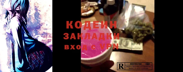 шишки Ельня