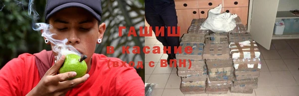 шишки Ельня