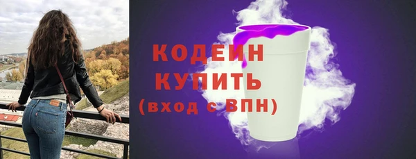шишки Ельня
