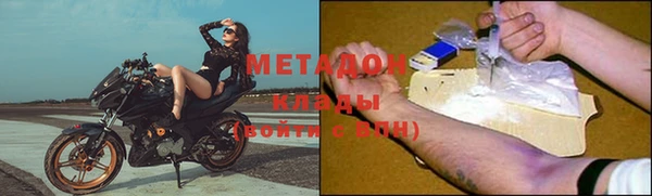 прущие грибы Елизово