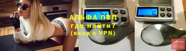 шишки Ельня