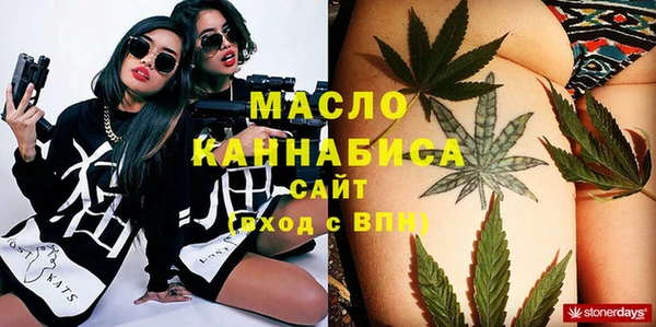 шишки Ельня