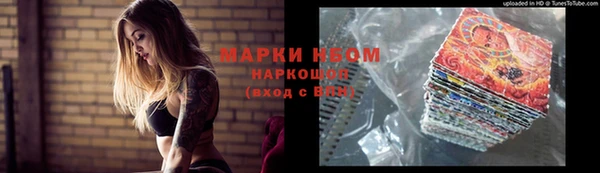 молекула духа Елабуга