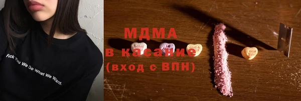 шишки Ельня
