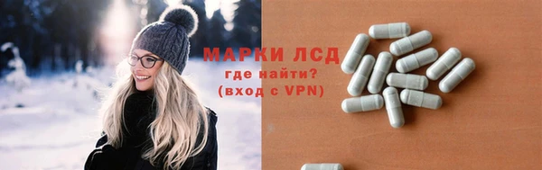 шишки Ельня