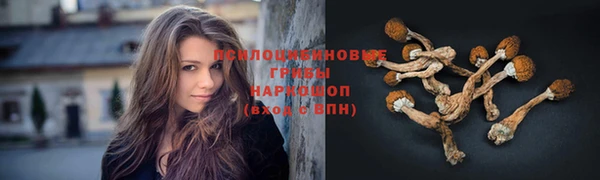 молекула духа Елабуга