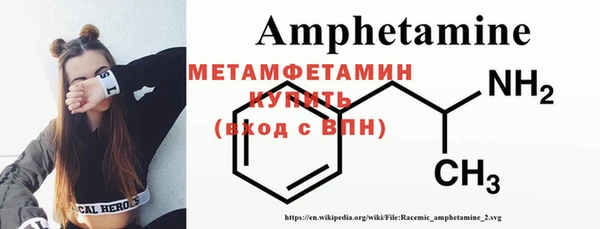 прущие грибы Елизово