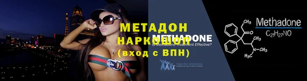 прущие грибы Елизово