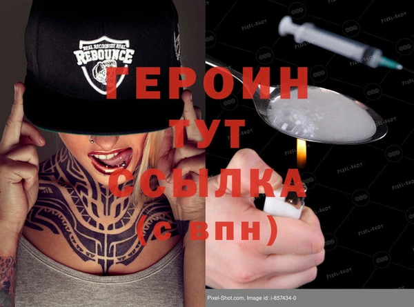 шишки Ельня