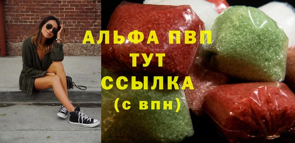 шишки Ельня