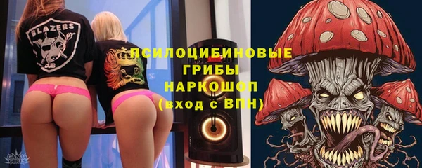 молекула духа Елабуга
