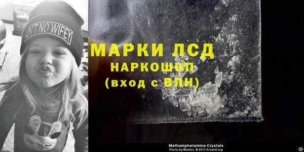 молекула духа Елабуга
