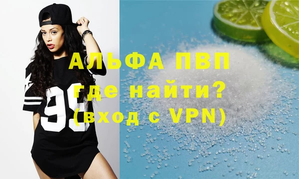 шишки Ельня