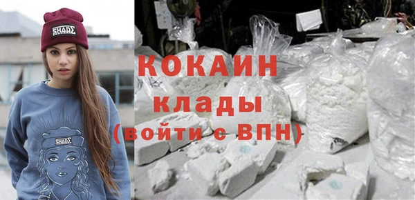 шишки Ельня