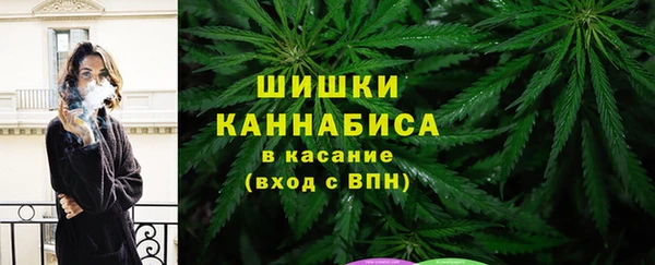 молекула духа Елабуга