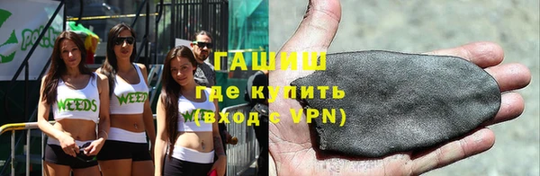 шишки Ельня