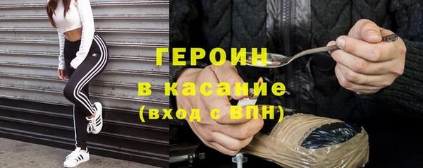 прущие грибы Елизово