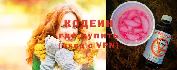 прущие грибы Елизово