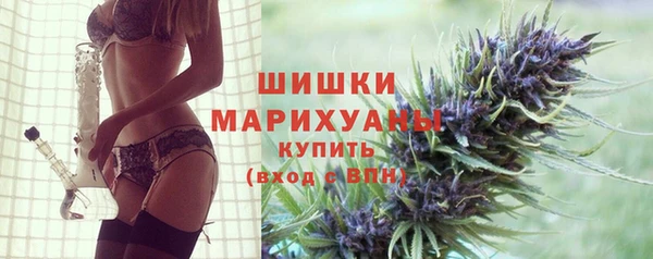 прущие грибы Елизово