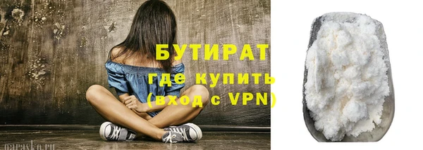 шишки Ельня