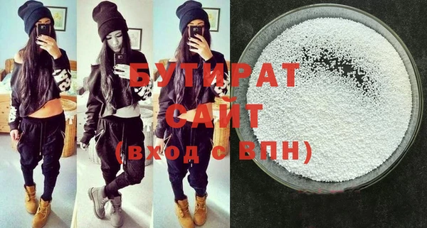 шишки Ельня