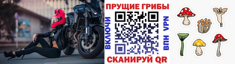 Псилоцибиновые грибы Psilocybine cubensis  Купить  Няндома 