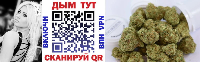Купить где Няндома Шишки марихуана гибрид